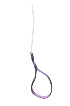 La Trasion (ref C1000)